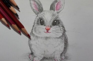 How to Draw a Cute Rabbit🐰