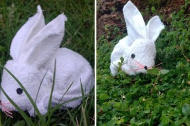 How to make a cute rabbit with a towel🐰🐰🤔