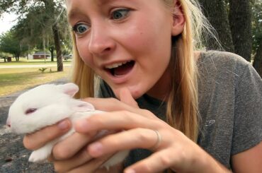 Ya Wanna Buy a Bunny?