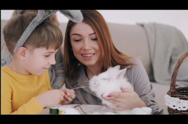 The Cutest Baby Bunny Rabbit Compilation EVER