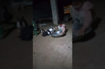 Cute Friendship baby and rabbits baby and bunny rabbit playing together compilation