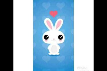 # cute rabbit #