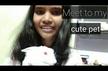 Meet to my rabbit ,#rabbit ,#cutepet,#Saifaliartandblog