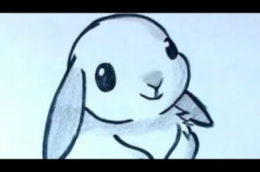 How to draw a cute rabbit with shading pencil