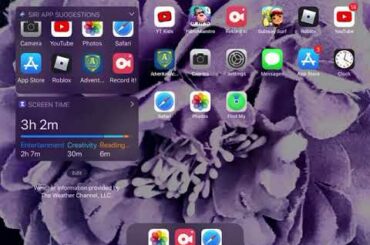 Cute Bunny Side show🐰🐇🖐🏻