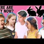 HOUSE RABBIT MAKEOVER | WHERE ARE THEY NOW? | EPISODE 5