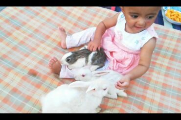 Baby Playing with Bunny |AB MANAN| Baby Vs Bunny