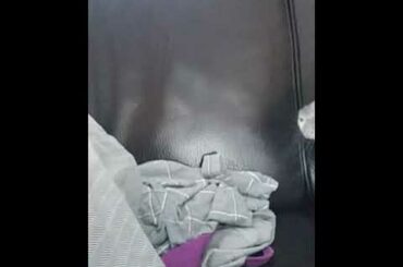 Tiny cute baby bunny