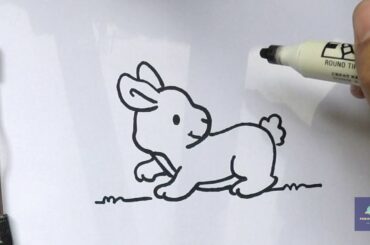 How to Draw cute bunny