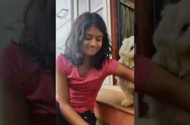 Cute rabbit and lovely puppy