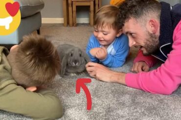 Surprising Kids With A New Baby Rabbit! [CUTEST REACTIONNN]