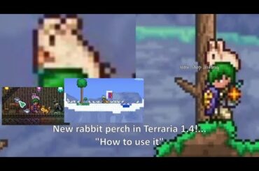 Rabbit perch in Terraria 1.4 is like... (now stop asking...)