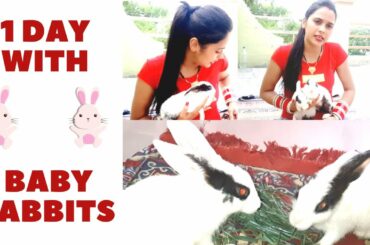 Cute Bunny Bath| Bunny Vlog| Cutest Bunny Brothers