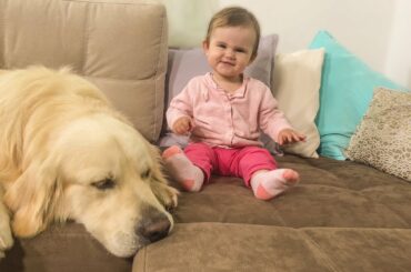 Cute Baby Trying to Cheer up a Golden Retriever!