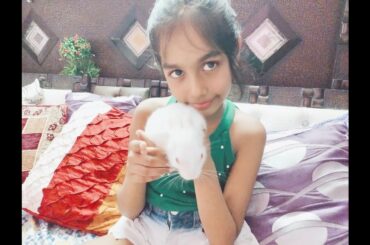 BABY BUNNY BATH IN HINDI