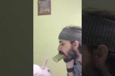 Cute Bunny! Animal lover