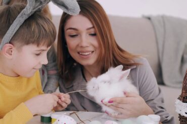 Cute Rabbit Videos Compilation | Cutest Rabbits 2020 Collection | Pet lance