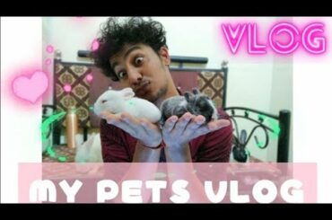 My Pet Rabbit Babies | New Born Rabbit | Cutest Pet | Vlog | Adventure Ashutosh |