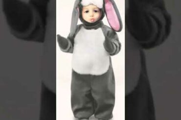 Cute baby bunny