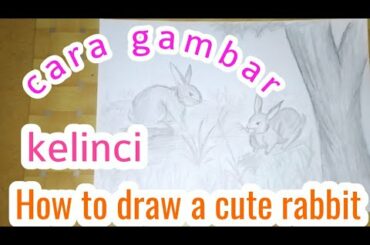 cara gambar kelinci // How to draw a cute rabbit