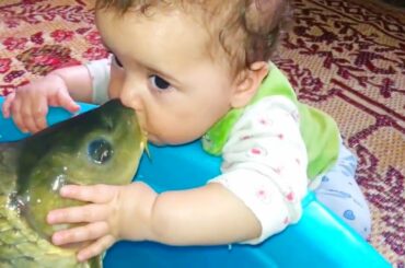 Funniest Moments Baby Meet Animals 🐠🕊 Cute Babies and Pets