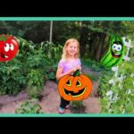 Vegetable Garden with Halloween Pumpkins and baby bunnies