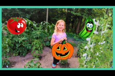 Vegetable Garden with Halloween Pumpkins and baby bunnies