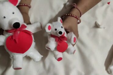 DIY cute rabbit and teddy bear