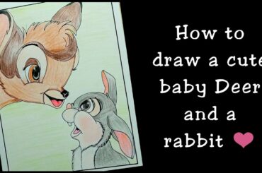 How to draw a cute baby Deer and a Rabbit 🐰
