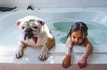 क्यूट पप्पीज़ एंड बेबीज़ प्लेइंग|🐶 Cute Puppies & Babies Playing Compilation 2020|TRY NOT TO LAUGH