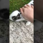 My cute bunny 😂🤣