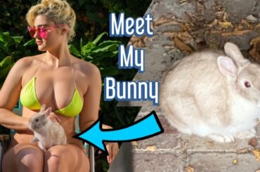 How I Ended Up With A Rabbit - Story Time