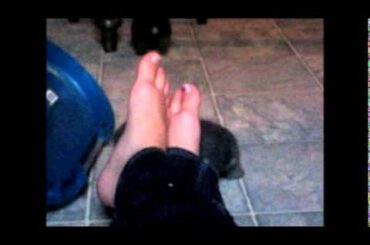 Baby Bunnies hopping around!!!!!