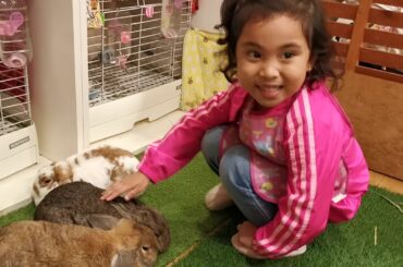 Maia visits a cute Bunny Cafe at Akihabara, Tokyo!