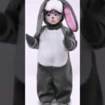 Jungkook cute Bunny video snap effect 😋🥰😁ئەمجارە کام ئەندام وا لێبکەم زۆر کیوت و جوانە 😂⬇️⬇️