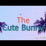 Launching the cute bunny