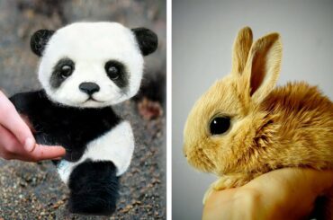 Super Cute Baby Animals!