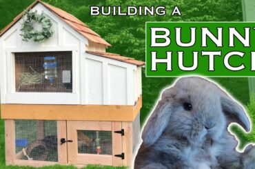 Building a Bunny Hutch - Part 1