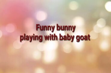 Bunny with baby goat