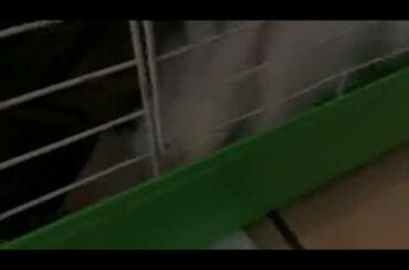 My baby bunny!