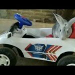 Cute Rabbit In a Police Car