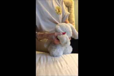 Baby Bunny Musical Number