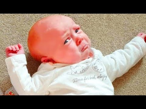 Funny Cute Baby Family Moments - cute baby video
