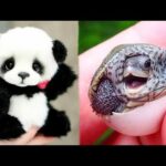 Animals SOO Cute! Cute baby animals Videos Compilation cutest moment of the animals #2