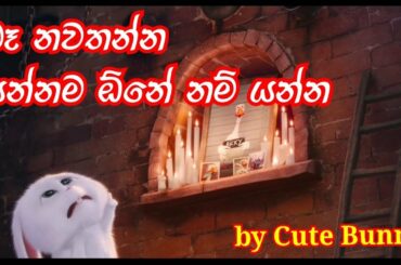 Cute Bunny Snowball Part 2 Ba Nawathanna