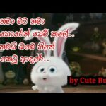 Cute Bunny Snowball Part 3 Mata thama mata thama oba horen pem kale