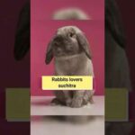 Fanny and cute Baby , Bunny Rabbit  🐰🐰videos. Baby animal video খরগোশেরবাচ্চার খেলা compilation 2020