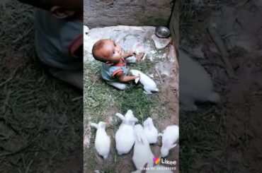 My nephew play with rabbits so cute baby