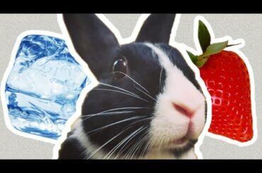Bunny ice strawberry asmr // Satisfying!