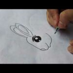 Draw a bunny rabbit